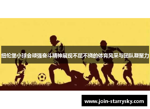 纽伦堡小球会顽强奋斗精神展现不屈不挠的体育风采与团队凝聚力